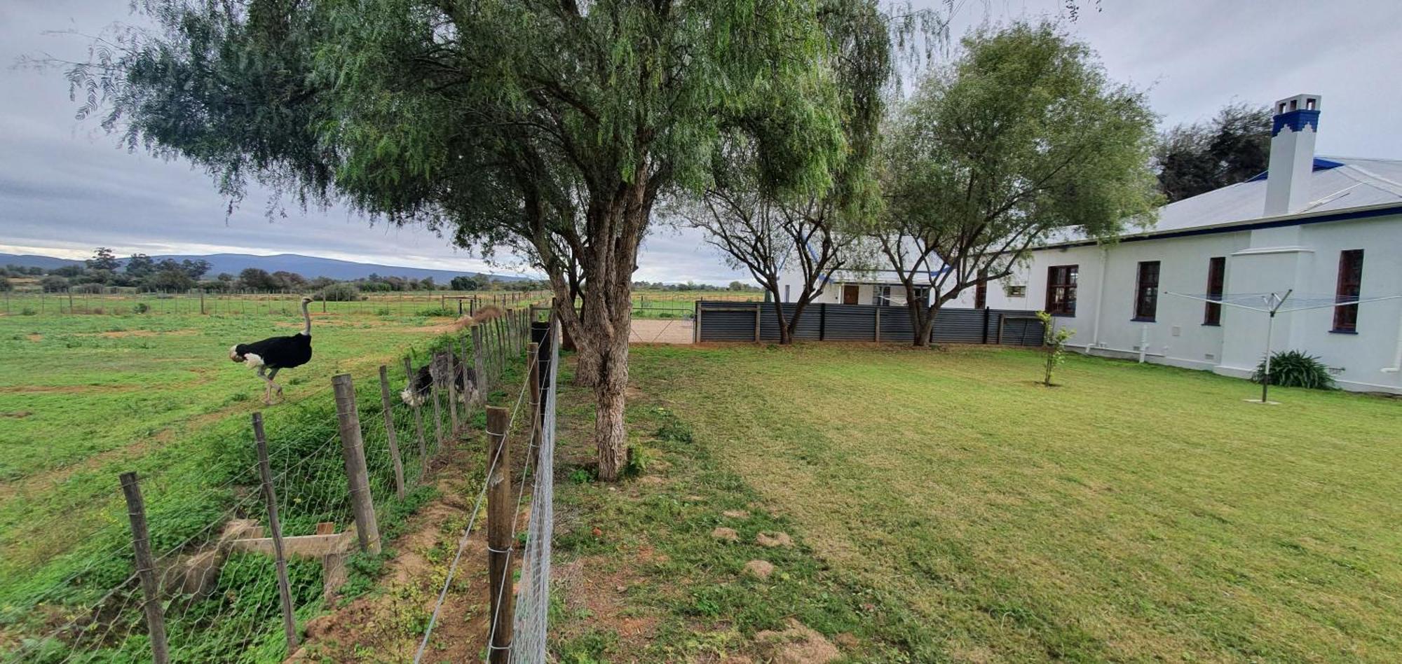 Karoo Leeu Self Catering Villa Oudtshoorn Ngoại thất bức ảnh